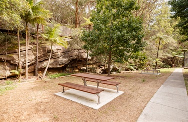 Cooper Park - picnic benches