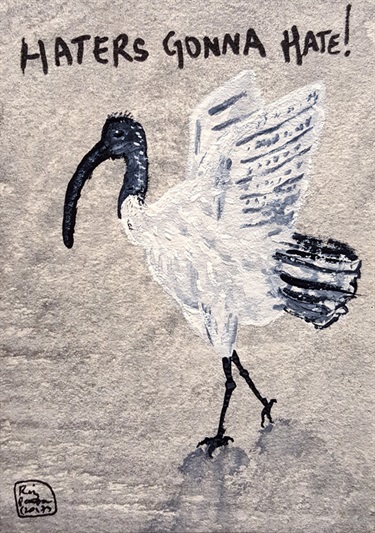 Ibis by Raj