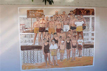 Murray Rose Pool murals