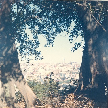 From an album of coloured photographs of Edgecliff dating from the mid 1960s - much of this area was extensively redeveloped during the 1970s with the construction of the Edgecliff Centre and the Edgecliff Interchange. Woollahra Libraries Digital Archive PF004610s.