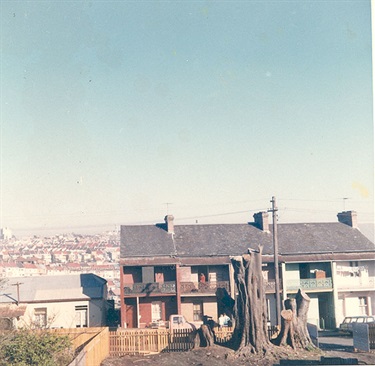From an album of coloured photographs of Edgecliff dating from the mid 1960s - much of this area was extensively redeveloped during the 1970s with the construction of the Edgecliff Centre and the Edgecliff Interchange. Woollahra Libraries Digital Archive PF004610t.
