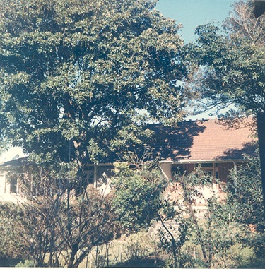 From an album of coloured photographs of Edgecliff dating from the mid 1960s - much of this area was extensively redeveloped during the 1970s with the construction of the Edgecliff Centre and the Edgecliff Interchange. Woollahra Libraries Digital Archive PF004610v.