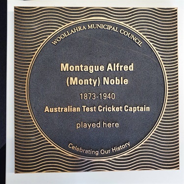 Plaque