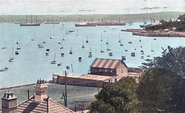 Postcard of Rushcutters Bay