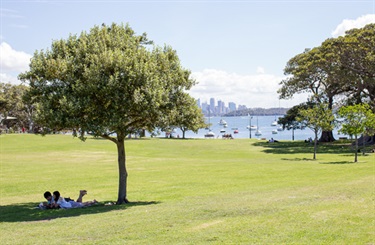 Robertson Park - Tree