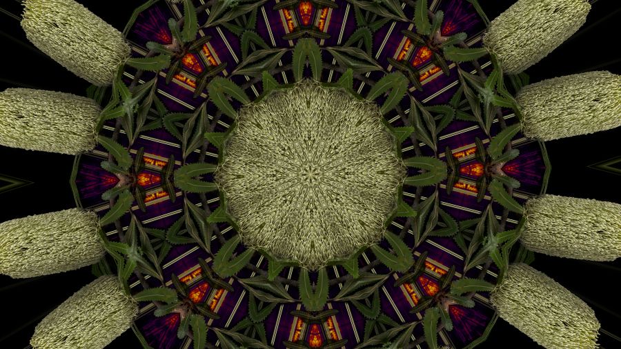 as ants work desperately towards death - Cara-Ann Simpson - STILL for website.jpg