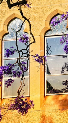 First Prize - Golden Hour - Nicole Lai, Kincoppal Rose Bay