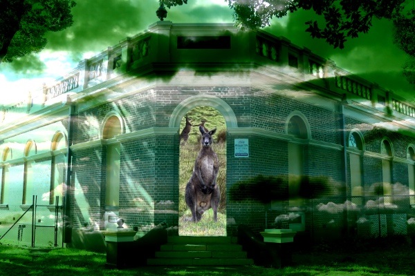 Public-Art-Double-Vision-July-to-September-2025-Anna-Glynn-DWELLING-Film-Still.jpg