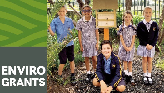 Environmental Grants
