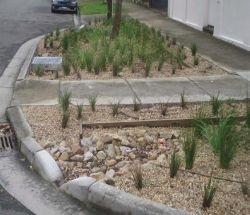 bellevue hill shops raingarden