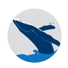 Ilustration of whale breaching