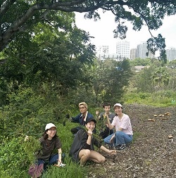 Bushcare volunteers