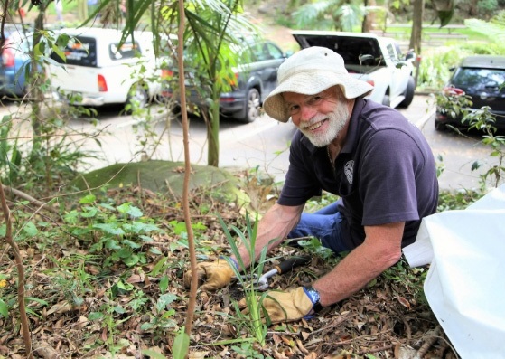 Bushcare volunteer working on revegetation