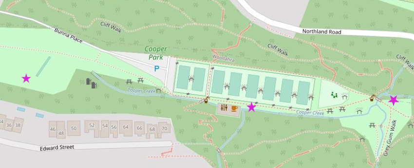 Map of Cooper park with frog locations