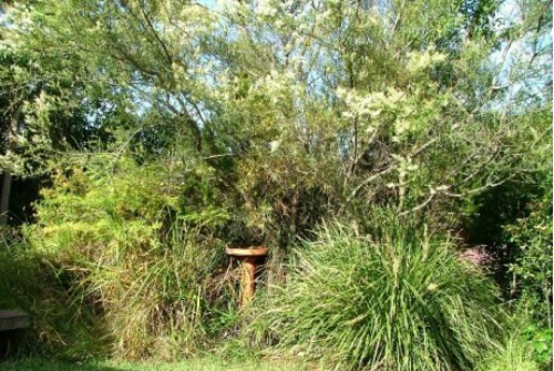 Habitat Garden