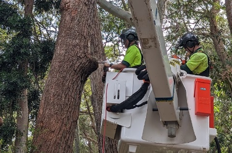 Men on cherry picker drilling hollows