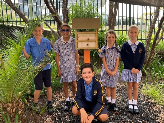 Kids with native bee hive