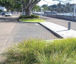 rose bay promenade parking bay