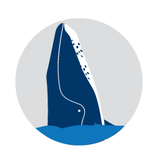 Ilustration of whale with head up