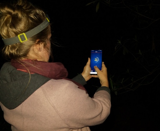 woman using FrogID app