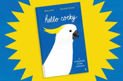 HelloCocky.jpg