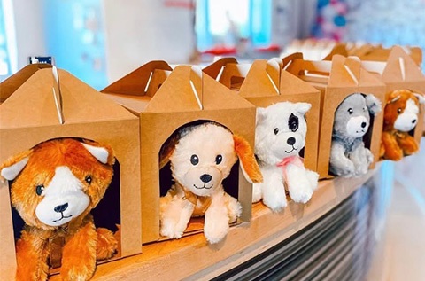Puppy Adoption Playdate Fun for Kids.jpg