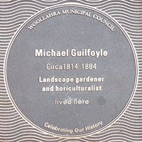Michael Guilfoyle plaque