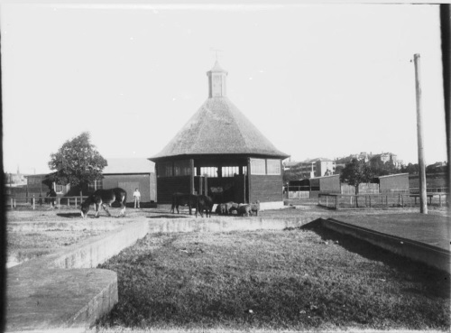 LW 22 The _Round House_ - Veterinary Observation box - 1927 Photographer Harold Cazneaux - Courtesy of the University of Stndey REF-00011880.jpg