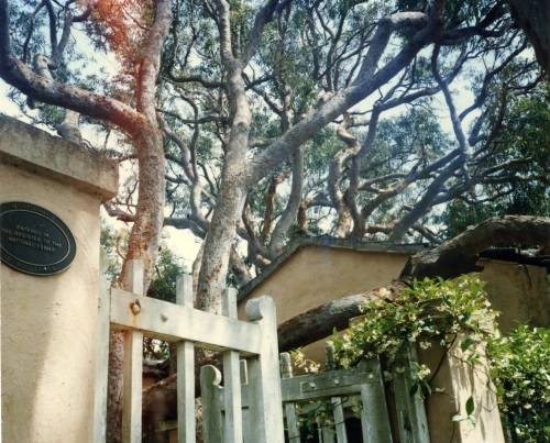 LW 26 Gate at Greenway.jpg