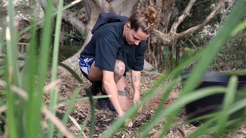 Bushcare volunteer 900x506.jpg
