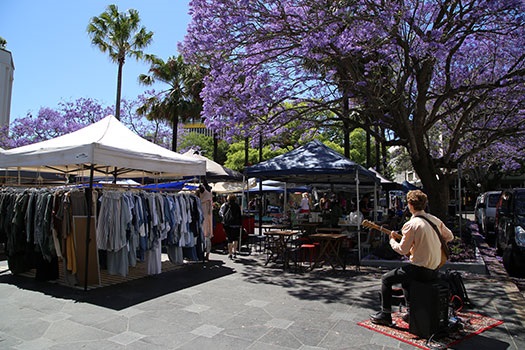 Jacarandas at Guilfoyle Park, Paddington