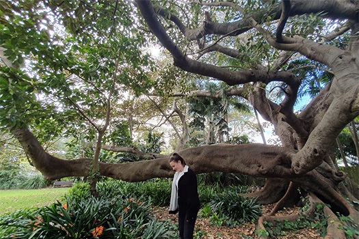 Woman standing under huge fig tree