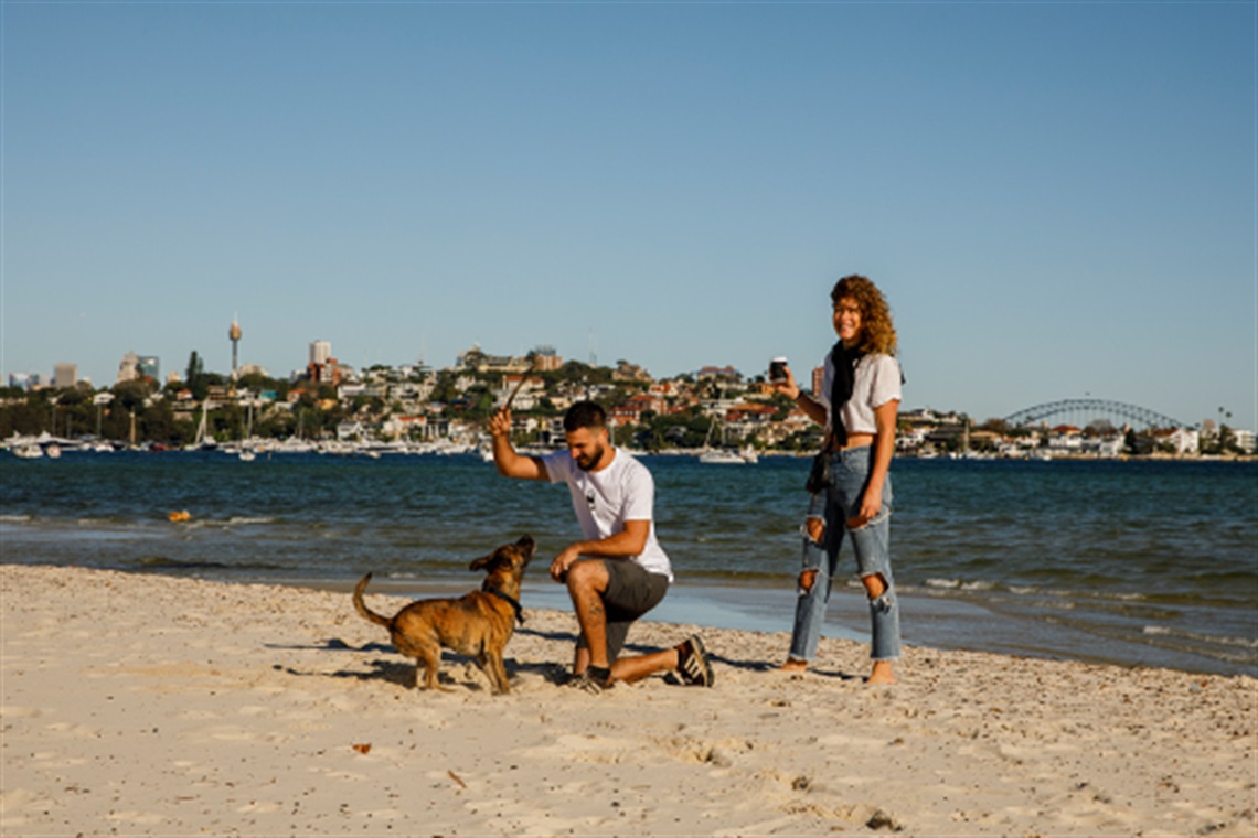 Spend some quality time with your pooch at one of these local off leash parks