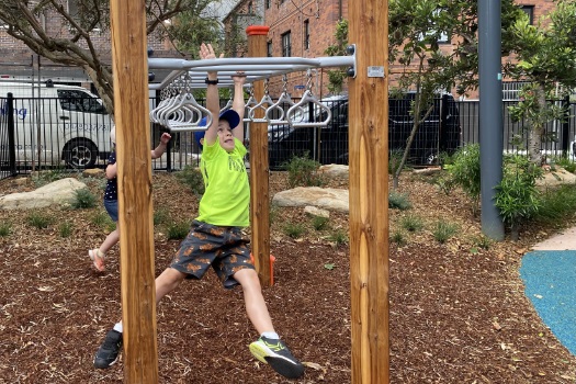 Plumb reserve monkey bars
