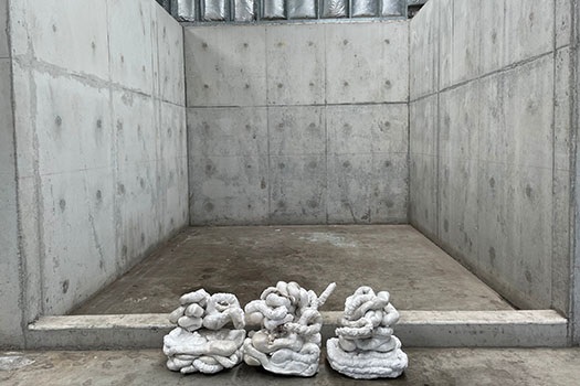 Polystyrene-after.jpg