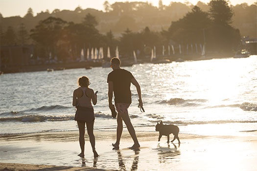 Two people on beach with dog running in water