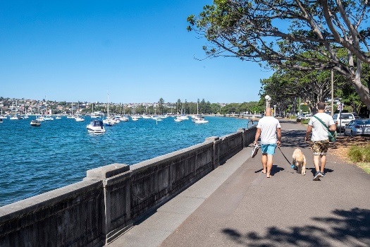 Rose Bay promenade