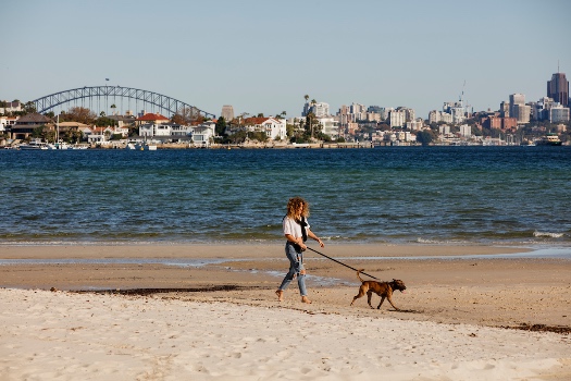 Five of the best local dog walks Woollahra Municipal Council