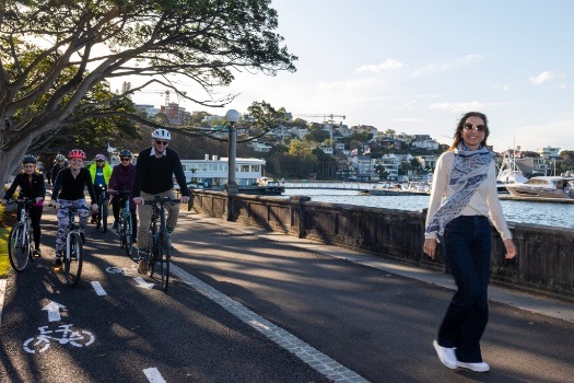 Rosebay cycleway