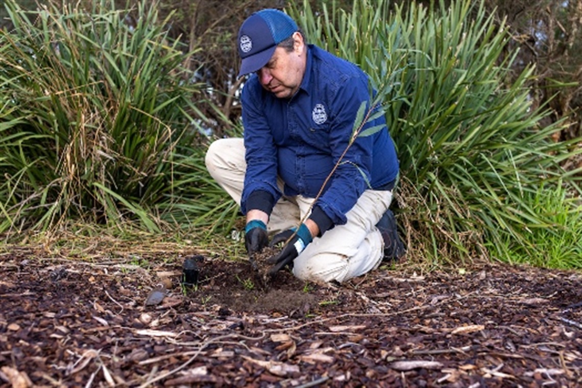 Rudi’s top five tips for planting a tree on National Tree Day