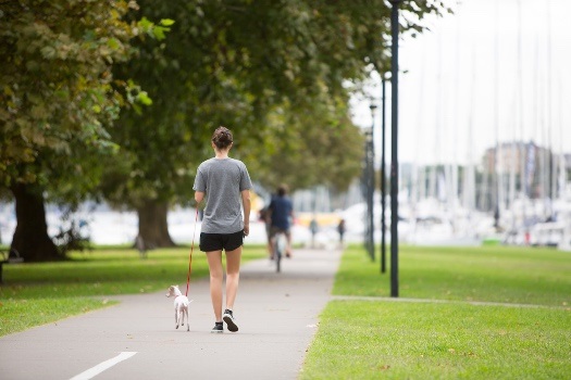 Christison Park dog walk