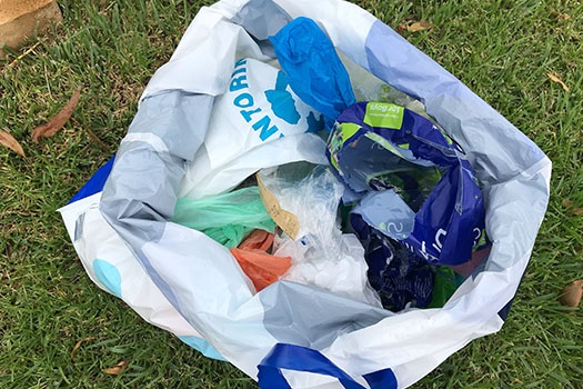 Collection of soft plastics contained within a plastic bag