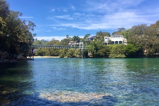 spring walks - parsley bay