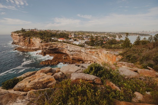 Spring walks - Watsons Bay