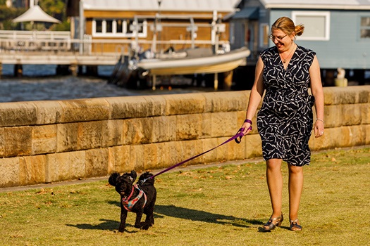 Woman walking a dog in front of the sewall at Steyne Park