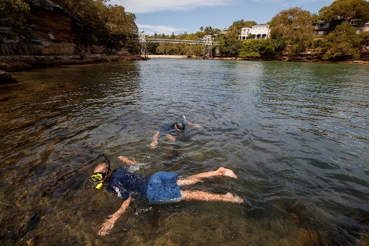 Vaucluse Parsley Bay snorkellers 2019 James Horan
