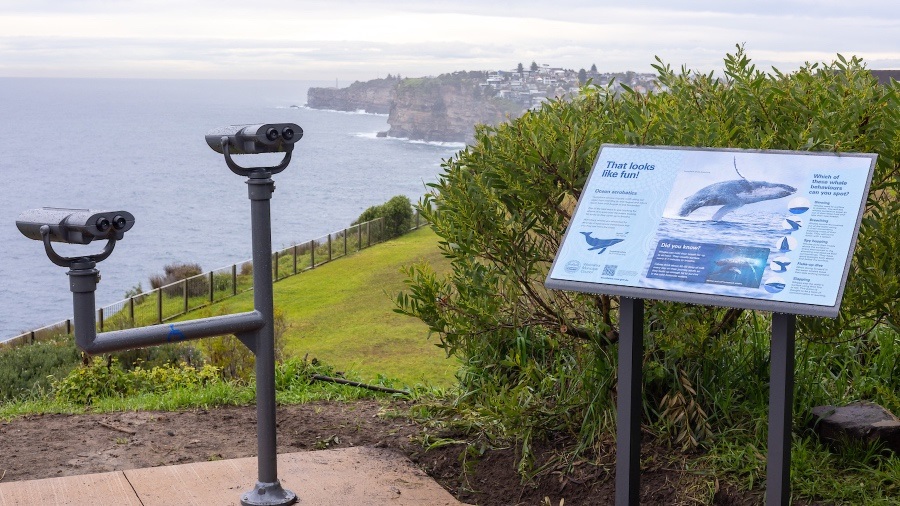 whale watching binoculars.jpg