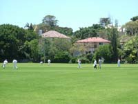 Cricket match