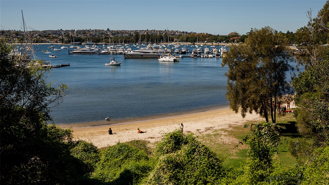 Rose bay Park_900x506.jpg