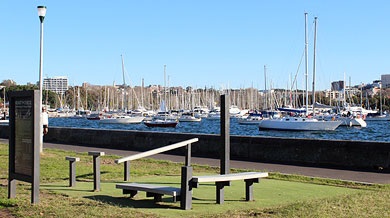 Yarranabbe Park Fitness Station